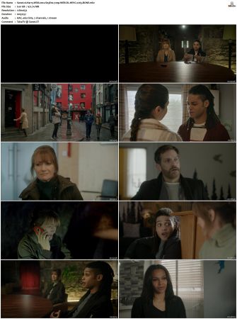 Harry Wild 2022 S01 S03 720p WEB-DL HEVC x265 BONE