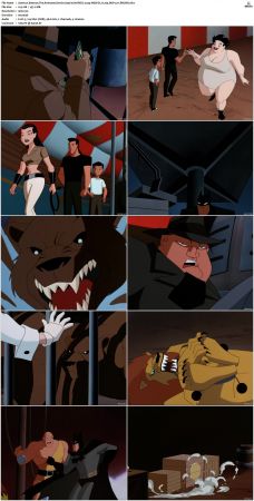 Batman The Animated Series S01-S04 720p WEB-DL H265 DDP2.0-CiNEMiX