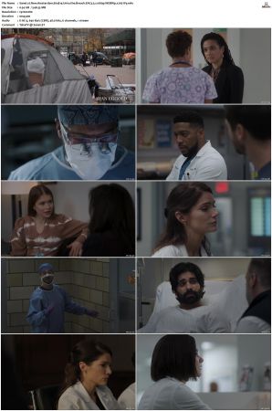 New Amsterdam 2018 S01-S05 1080p WEBRip EAC3 5.1 x265-iVy