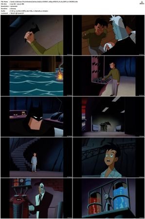 Batman The Animated Series S01-S04 MULTi 1080p WEB-DL H265 DDP2.0-CiNEMiX