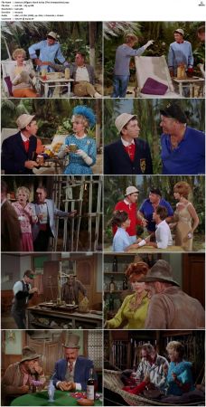 Gilligans Island S01 S03 DVDRip H264-NGP