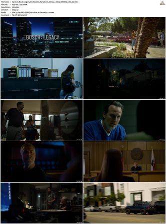 Bosch Legacy S01 S02 SUPER-PACK 1080p AMZN WEBRip DDP 5 1 x265-iVy