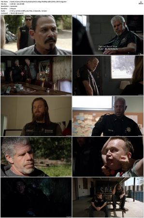 Sons of Anarchy S01-S07 SUPER-PACK 1080p WEBRip 10Bit DDP5.1 HEVC-d3g