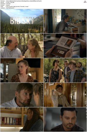 Big Sky S01 S03 WEBRip EAC3 5 1 1080p x265-iVy