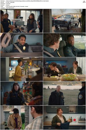 Animal Control S01 S02 1080p AMZN WEBRip DDP 5 1 x265-iVy