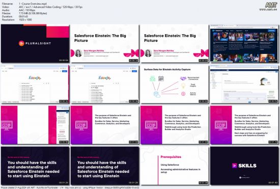 Salesforce Einstein: The Big Picture