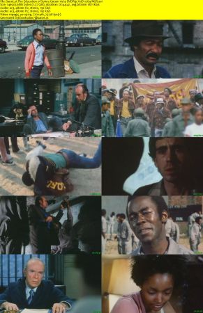 The Education of Sonny Carson 1974 DVDRip XviD x264-NGR