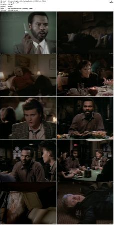 21 Jump Street S01 S05 WEB-DL H 264-JiTB