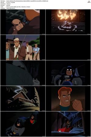 Batman The Animated Series S01-S04 MULTi 1080p WEB-DL H265 DDP2.0-CiNEMiX
