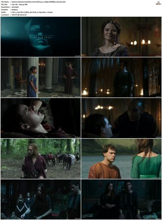 Domina S01 S02 SUPER-PACK WEBRip EAC3 5 1 1080p x265-iVy