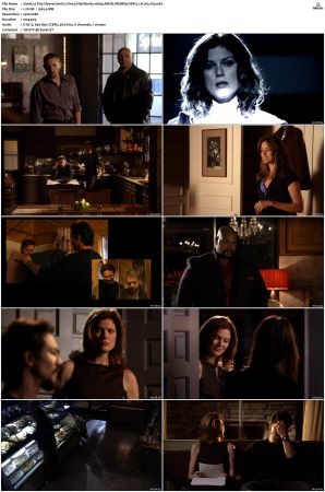 The Cleaner S01 S02 1080p AMZN WEBRip DDP 5 1 x265-iVy