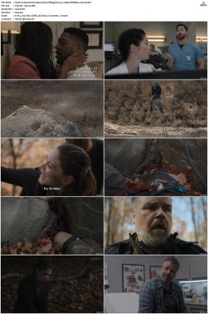 New Amsterdam 2018 S01-S05 1080p WEBRip EAC3 5.1 x265-iVy