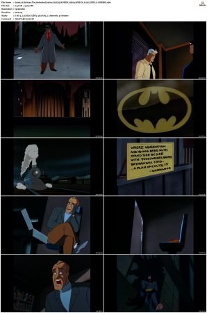 Batman The Animated Series S01-S04 MULTi 1080p WEB-DL H265 DDP2.0-CiNEMiX