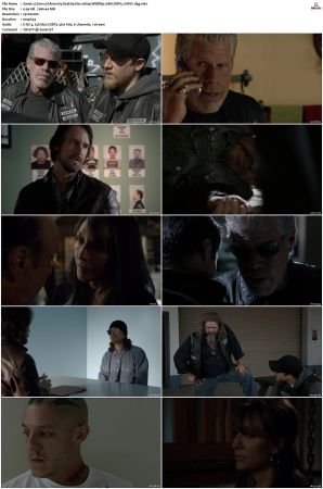 Sons of Anarchy S01-S07 SUPER-PACK 1080p WEBRip 10Bit DDP5.1 HEVC-d3g