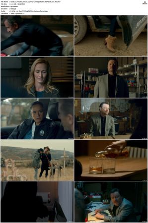 Tin Star S01 S03 1080p BluRay DDP 5 1 x265-iVy