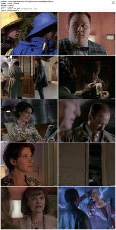 Sliders S01 S05 WEBRip EAC3 2 0 1080p x265-iVy