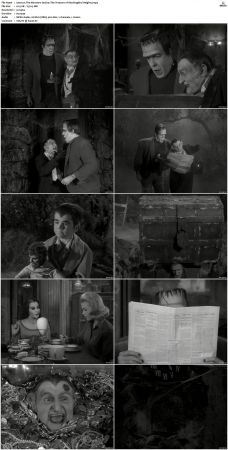 The Munsters 1964 S01 S02 DVDRip MPEG-NGP