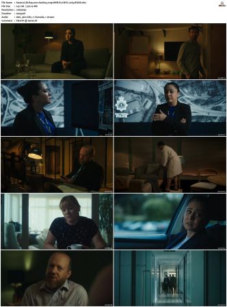 DI Ray 2022 S01 S02 720p WEB-DL HEVC x265 BONE