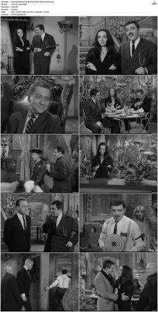 The Addams Family 1964 S01 S02 DVDRip X264-NGP
