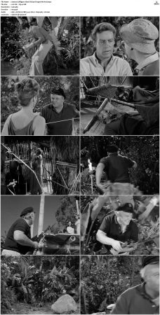 Gilligans Island S01 S03 DVDRip H264-NGP