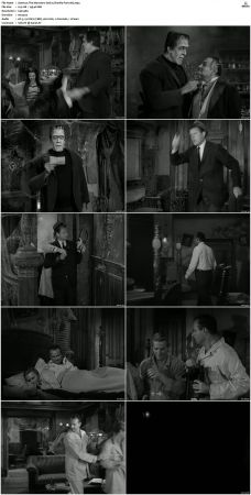 The Munsters 1964 S01 S02 DVDRip MPEG-NGP