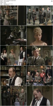 Allo Allo 1984 S01-S09 DVDRip X264-NGP