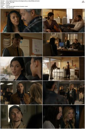 Big Sky S01 S03 WEBRip EAC3 5 1 1080p x265-iVy