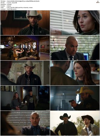 Walker S01 S04 WEBRip EAC3 5 1 1080p x265-iVy