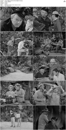 Gilligans Island S01 S03 DVDRip H264-NGP