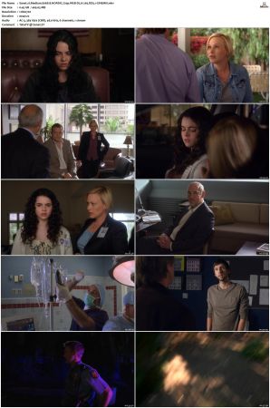 Medium S06 NORDiC 720p WEB-DL H 265 DD5 1-CiNEMiX