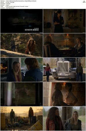Big Sky S01 S03 WEBRip EAC3 5 1 1080p x265-iVy