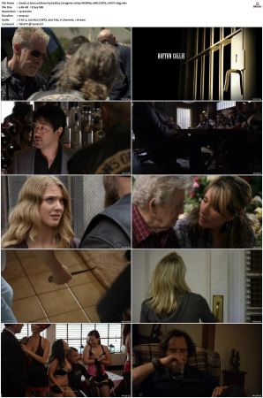 Sons of Anarchy S01 S07 SUPER-PACK 1080p WEBRip 10Bit DDP5 1 HEVC-d3g