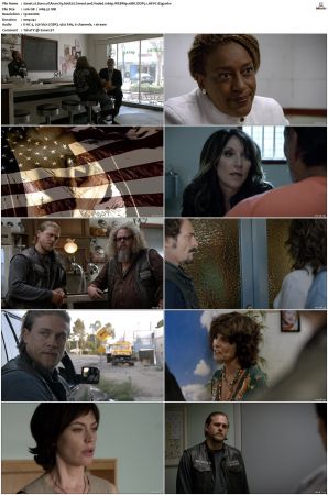 Sons of Anarchy S01-S07 SUPER-PACK 1080p WEBRip 10Bit DDP5.1 HEVC-d3g