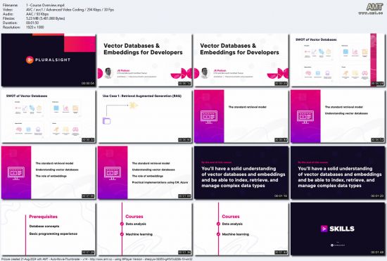 Vector Databases &amp; Embeddings for Developers