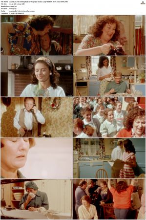 The Darling Buds of May 1991 S01 S03 720p WEB-DL HEVC x265 BONE