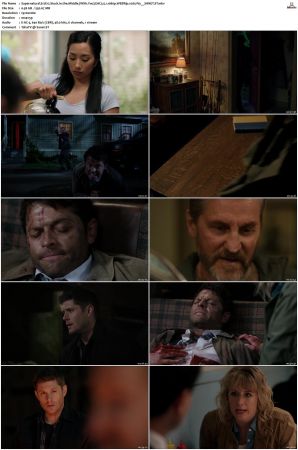 Supernatural S01 S15 WEBRip EAC3 2 0 1080p x265-iVy