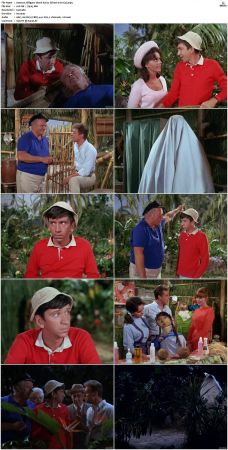 Gilligans Island S01 S03 DVDRip H264-NGP
