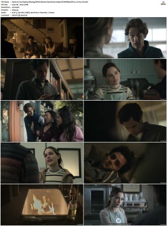 You S01 S04 1080p NF WEBRip DDP 5 1 x265-iVy