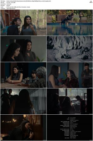 Aarya S03 1080p WebRip EAC3 5.1 x265-Groupless