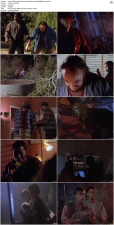 Sliders S01-S05 1080p WEBRip EAC3 2.0 x265-iVy