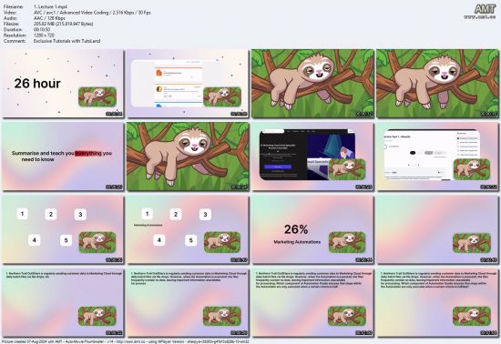 SF Marketing Cloud Email Specialist Exam Dump Walkthrough