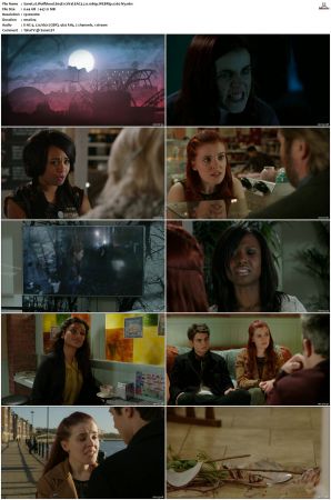 Wolfblood S01-S05 1080p WEBRip EAC3 2.0 x265-iVy