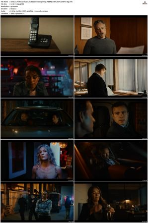 Professor T 2021 S01 S03 1080p WEBRip 10Bit DDP2 0 HEVC-d3g