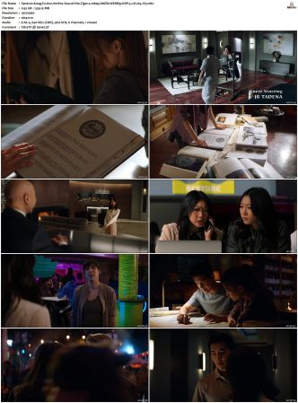 Kung Fu 2021 S01 S03 SUPER-PACK 1080p BluRay-WEB DDP 5 1 x265-iVy