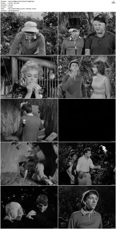 Gilligans Island S01 S03 DVDRip H264-NGP