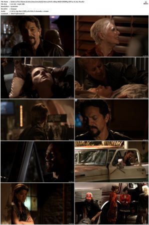 The Cleaner S01 S02 1080p AMZN WEBRip DDP 5 1 x265-iVy