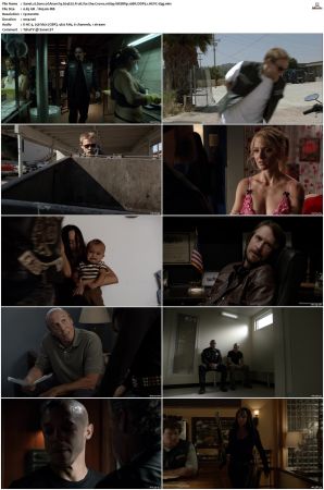 Sons of Anarchy S01-S07 SUPER-PACK 1080p WEBRip 10Bit DDP5.1 HEVC-d3g