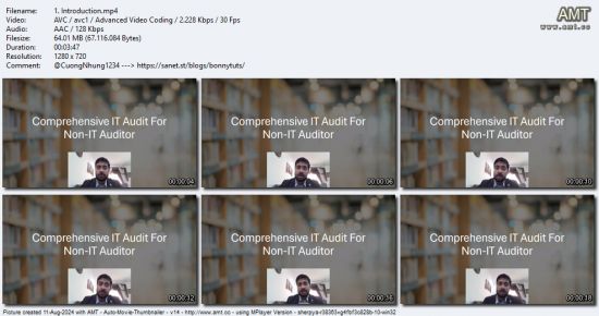 Comprehensive IT Audit for Non-IT Auditor