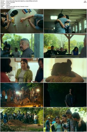 Reservation Dogs S01 S03 WEBRip EAC3 5 1 1080p x265-iVy