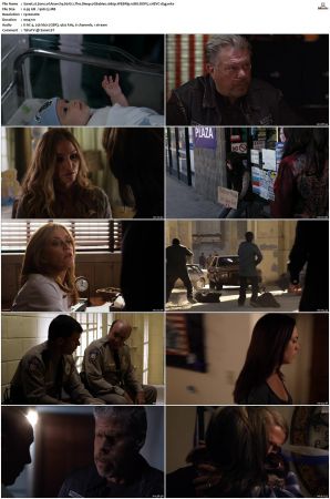 Sons of Anarchy S01 S07 SUPER-PACK 1080p WEBRip 10Bit DDP5 1 HEVC-d3g